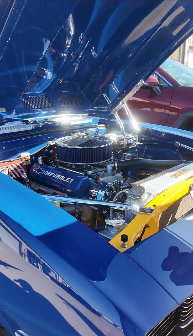 Detailed engine bay of a blue classic Chevrolet with a small-block V8 and chrome air cleaner